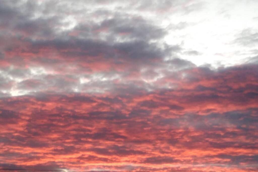 The Cottage - Hot Tub - Nr Glasgow - Self Check-In โค้ทบริดจ์ ภายนอก รูปภาพ