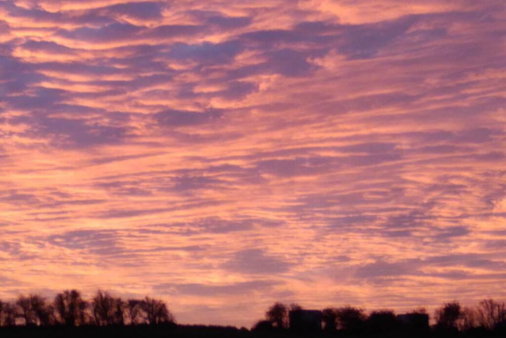 The Cottage - Hot Tub - Nr Glasgow - Self Check-In โค้ทบริดจ์ ภายนอก รูปภาพ